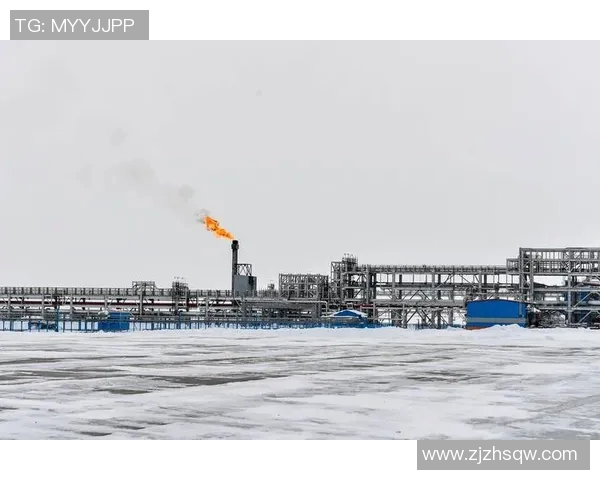 亚马尔地区的能源战略与全球气候变化的应对措施探讨